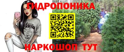 прущие грибы Наро-Фоминск