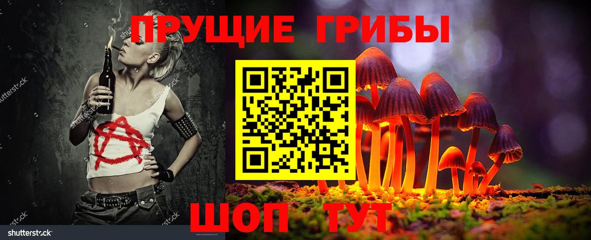 Псилоцибиновые грибы Psilocybine cubensis Будённовск